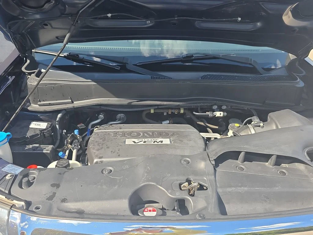 Used 2009 Blue Honda EX-L image 31