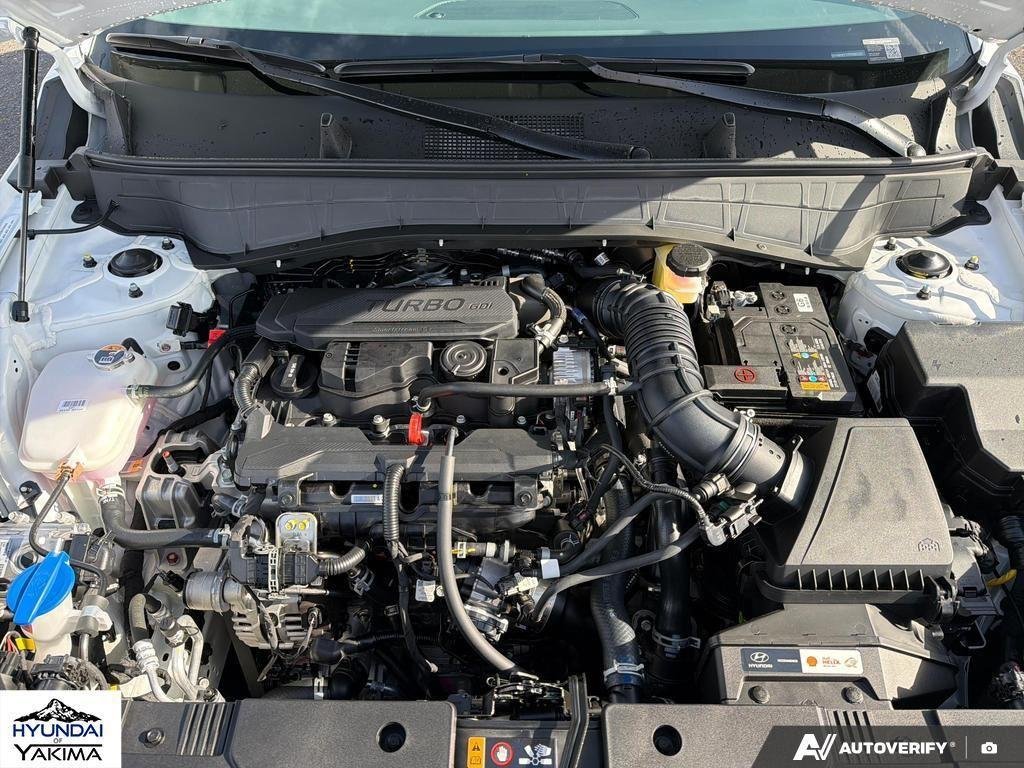 New 2026 Atlas White Hyundai SEL Premium AWD image 10