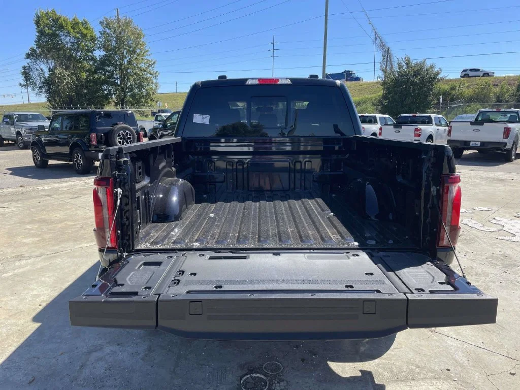 New 2026 Blue Ford King Ranch image 10