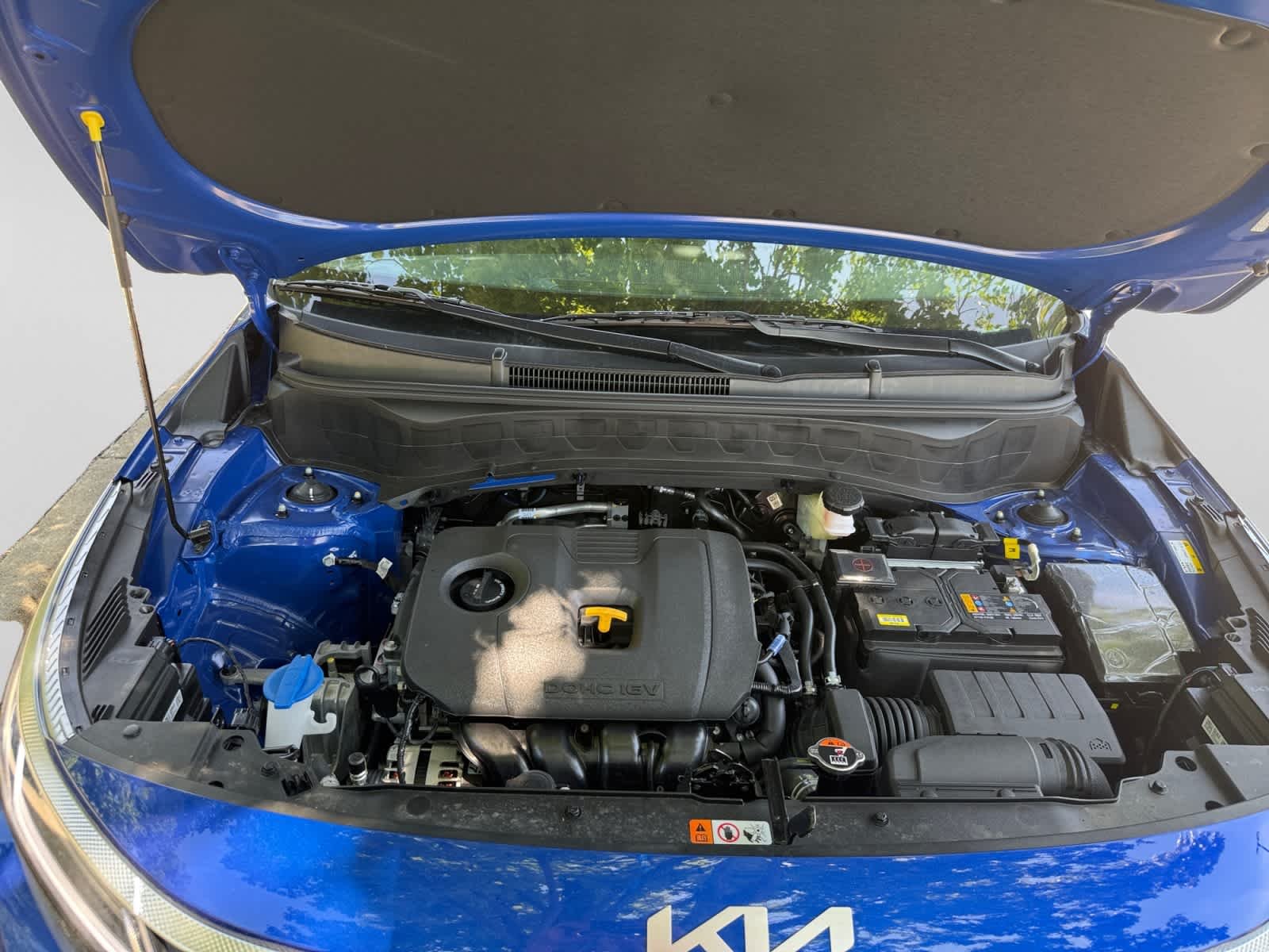 New 2026 Neptune Blue Kia S image 24