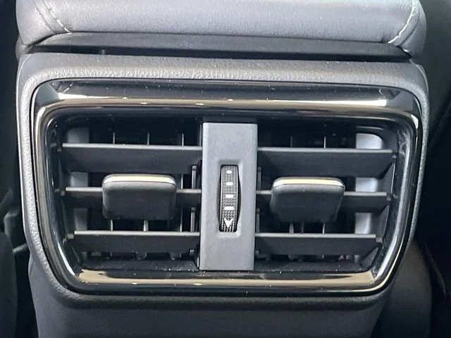 Certified Used 2025 GRECIAN WATER Lexus 250 Premium image 18