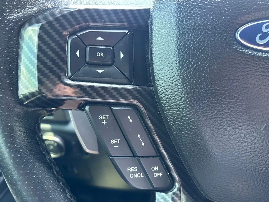 Used 2017  Ford Raptor image 21