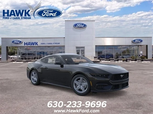 New 2026 Shadow Black Ford  image 7