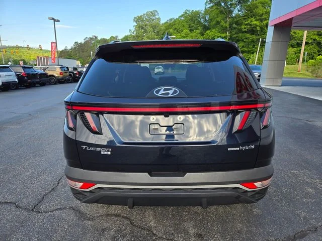 Used 2022 Blue Hyundai Blue image 7