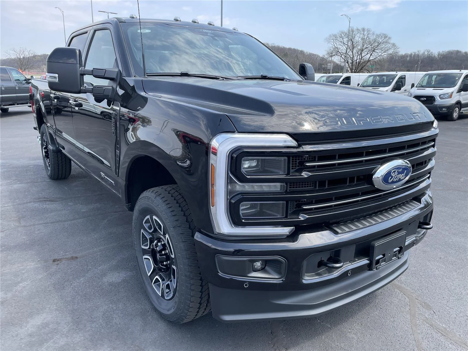 New 2026 Agate Black Metallic Ford Platinum image 9