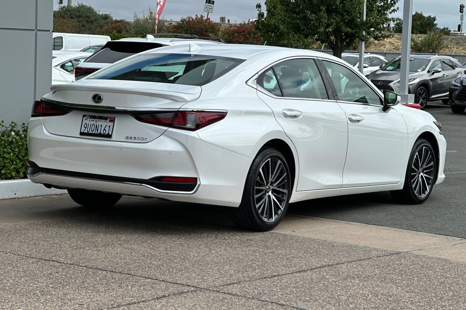 Used 2025 White Pearl Lexus 300h image 4