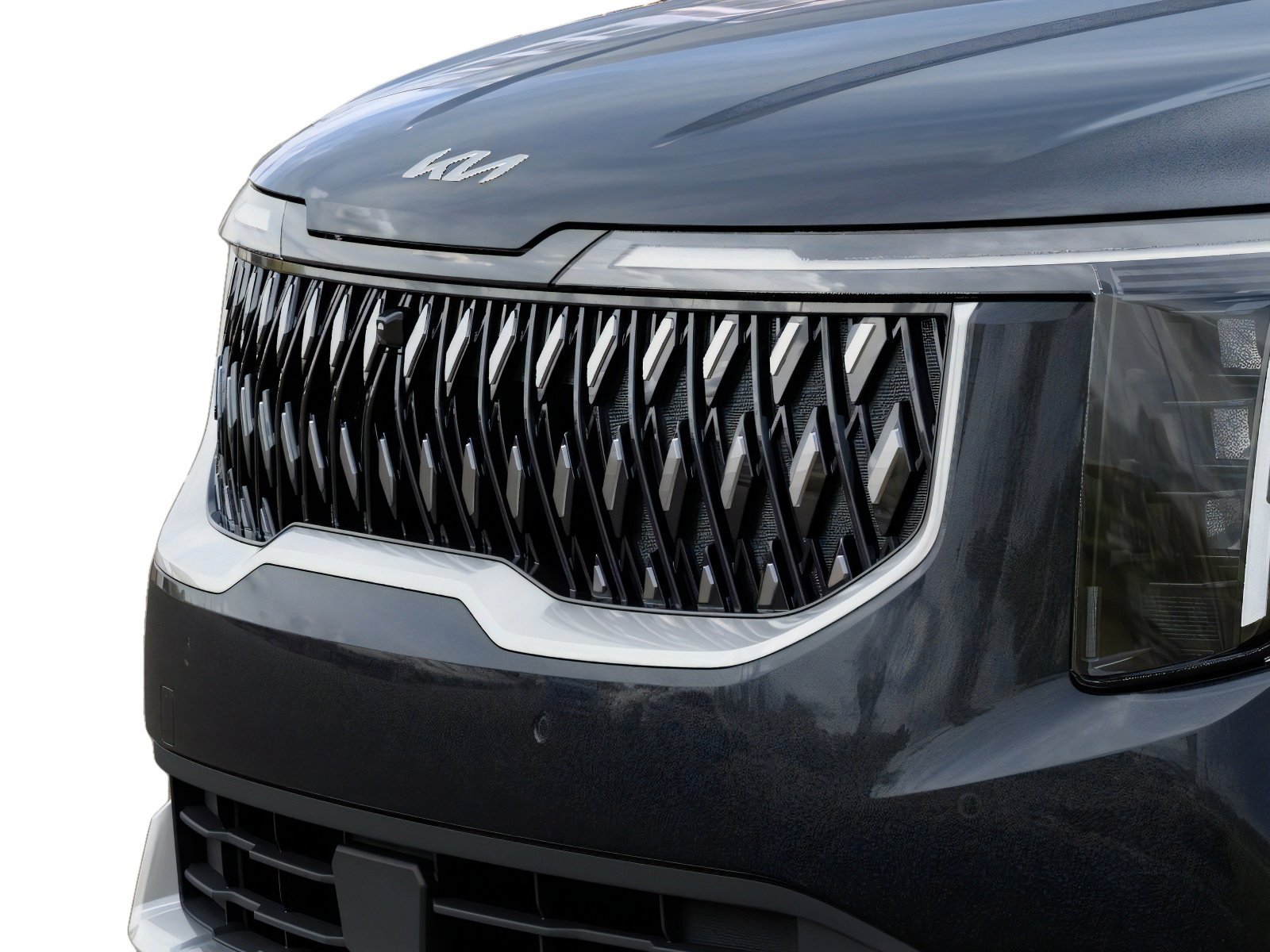 New 2026 Panthera Metal Kia EX image 12