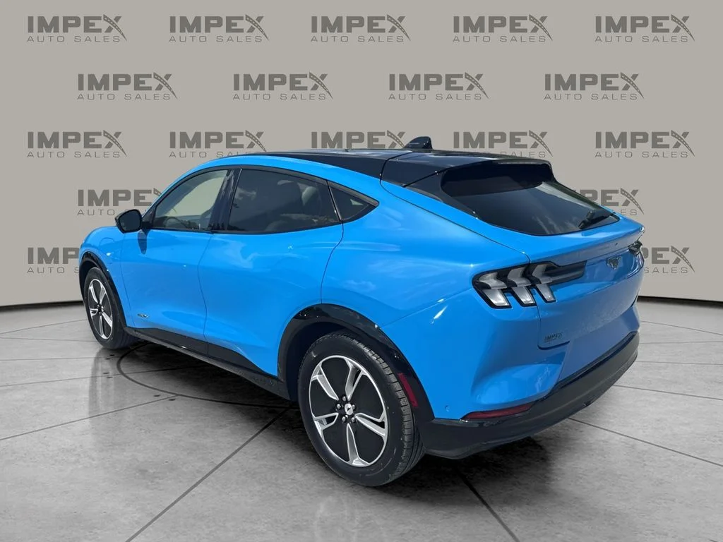Used 2023 Blue Ford Premium image 3
