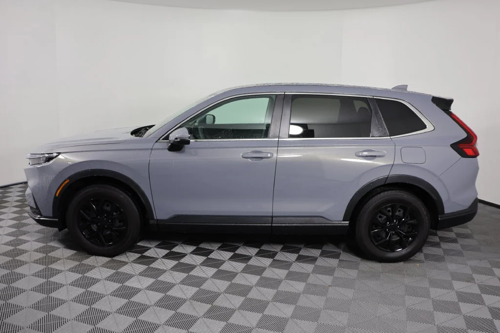 Used 2025 Urban Gray Pearl Honda LX image 5