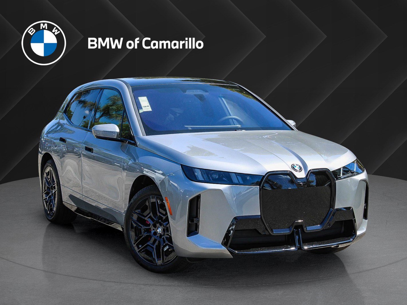 2026 BMW iX xDrive60's photo
