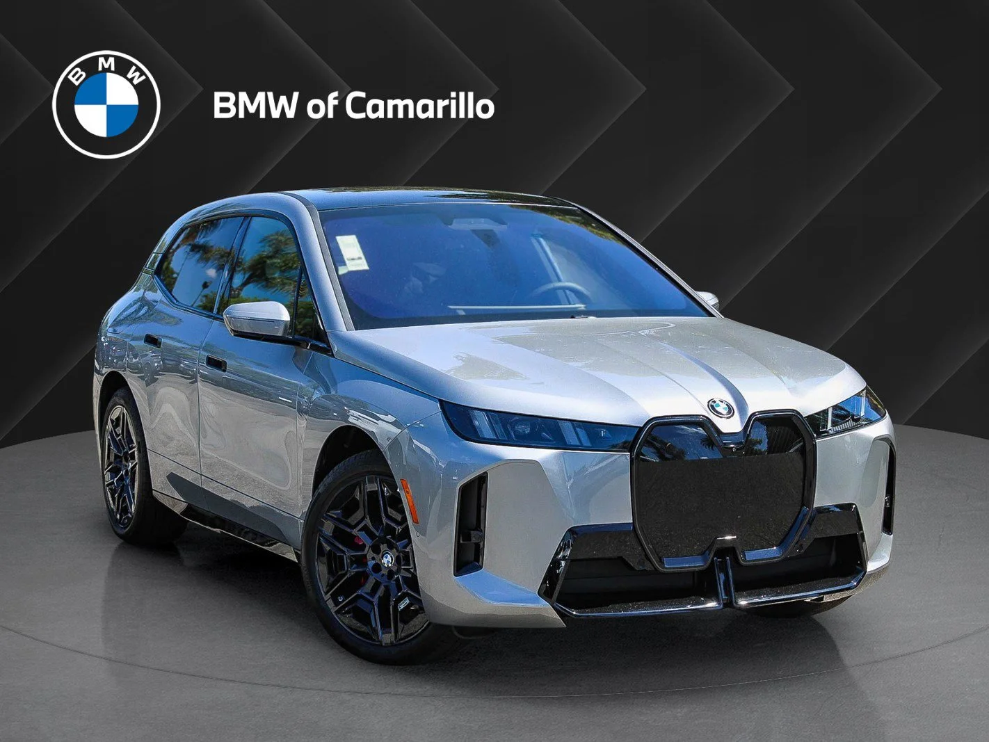 2026 BMW iX xDrive60's photo