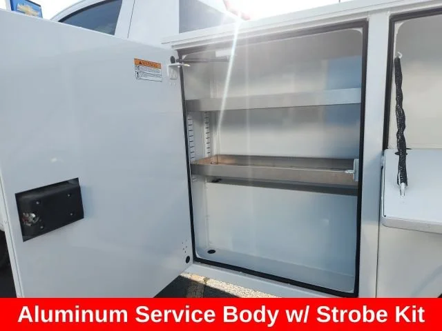 Used 2024 Summit White Chevrolet WT image 10