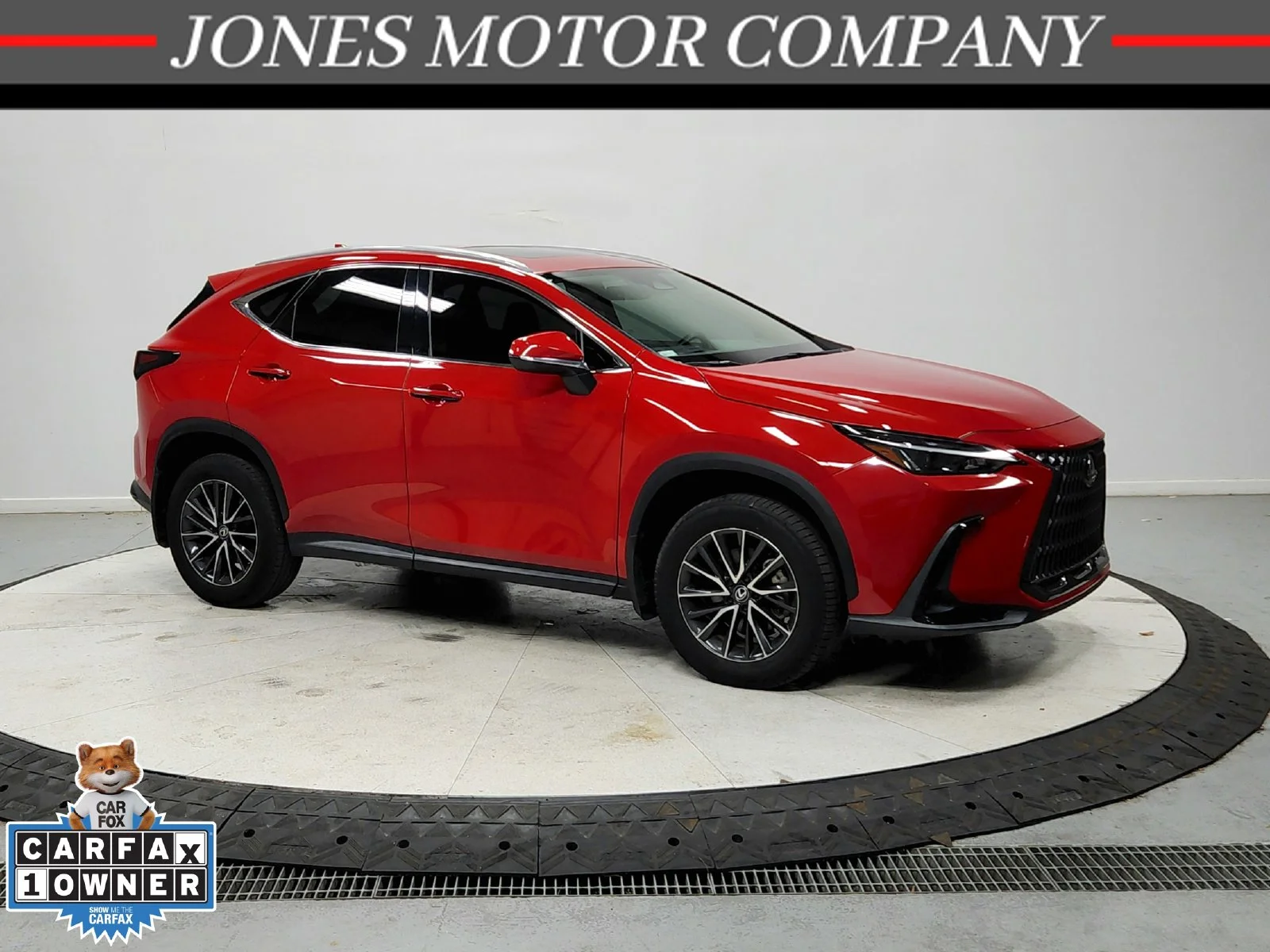2024 Lexus NX