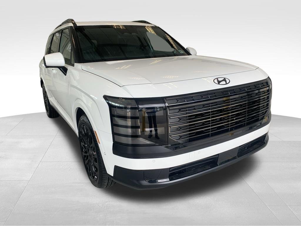 New 2027 White Hyundai Calligraphy Black Ink image 1