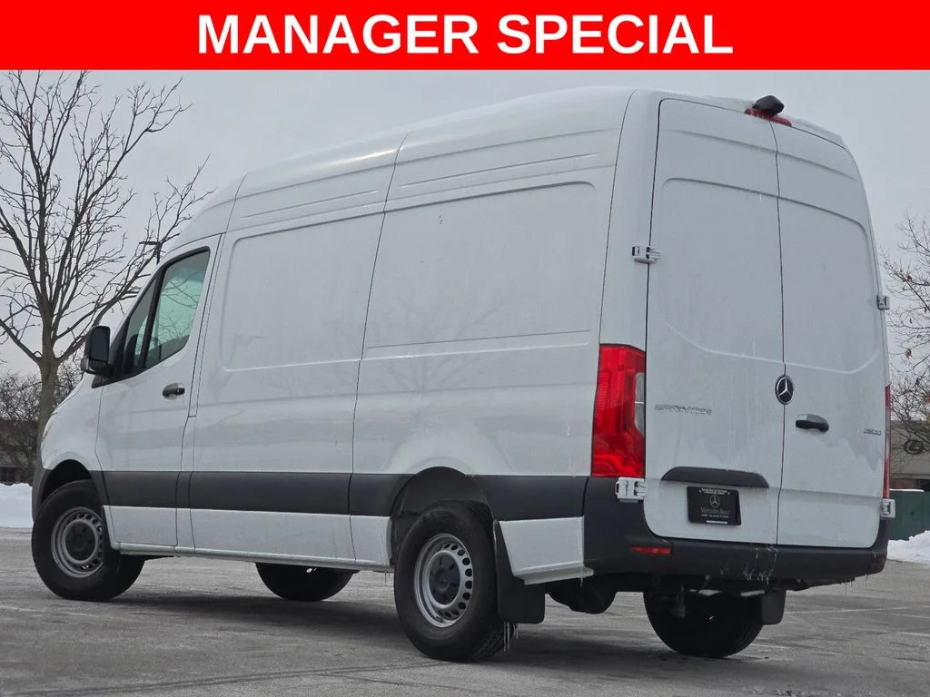 New 2025 Arctic White Mercedes-Benz Cargo 144 WB image 11