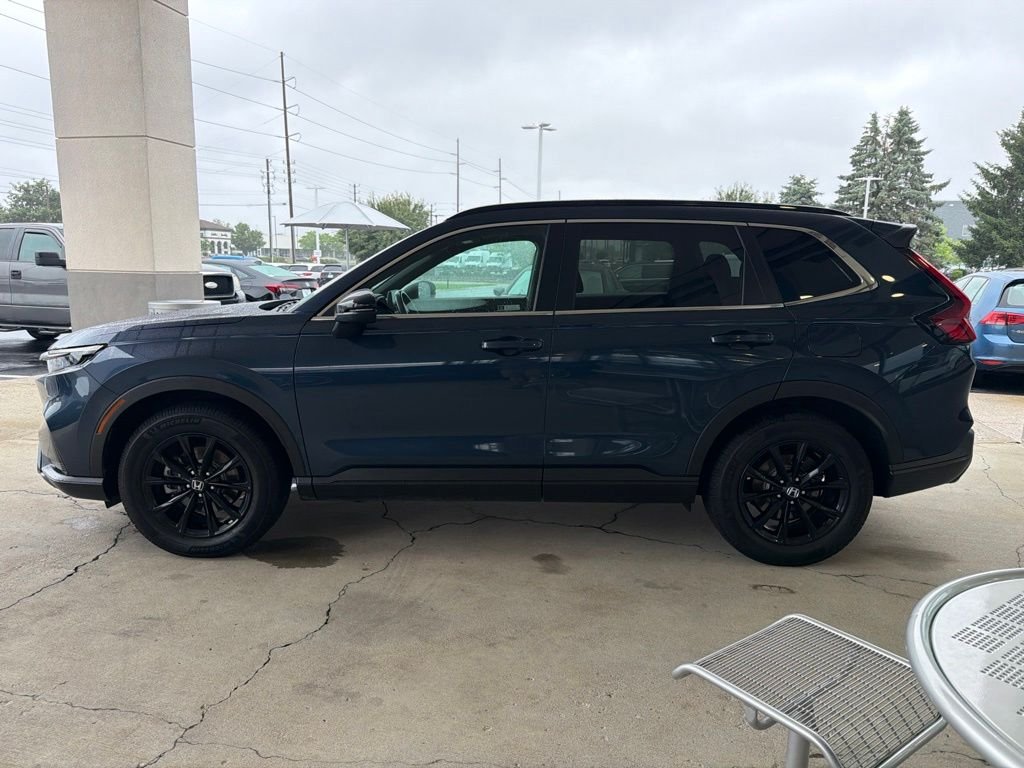 Used 2023 Canyon River Blue Metallic Honda Sport image 2