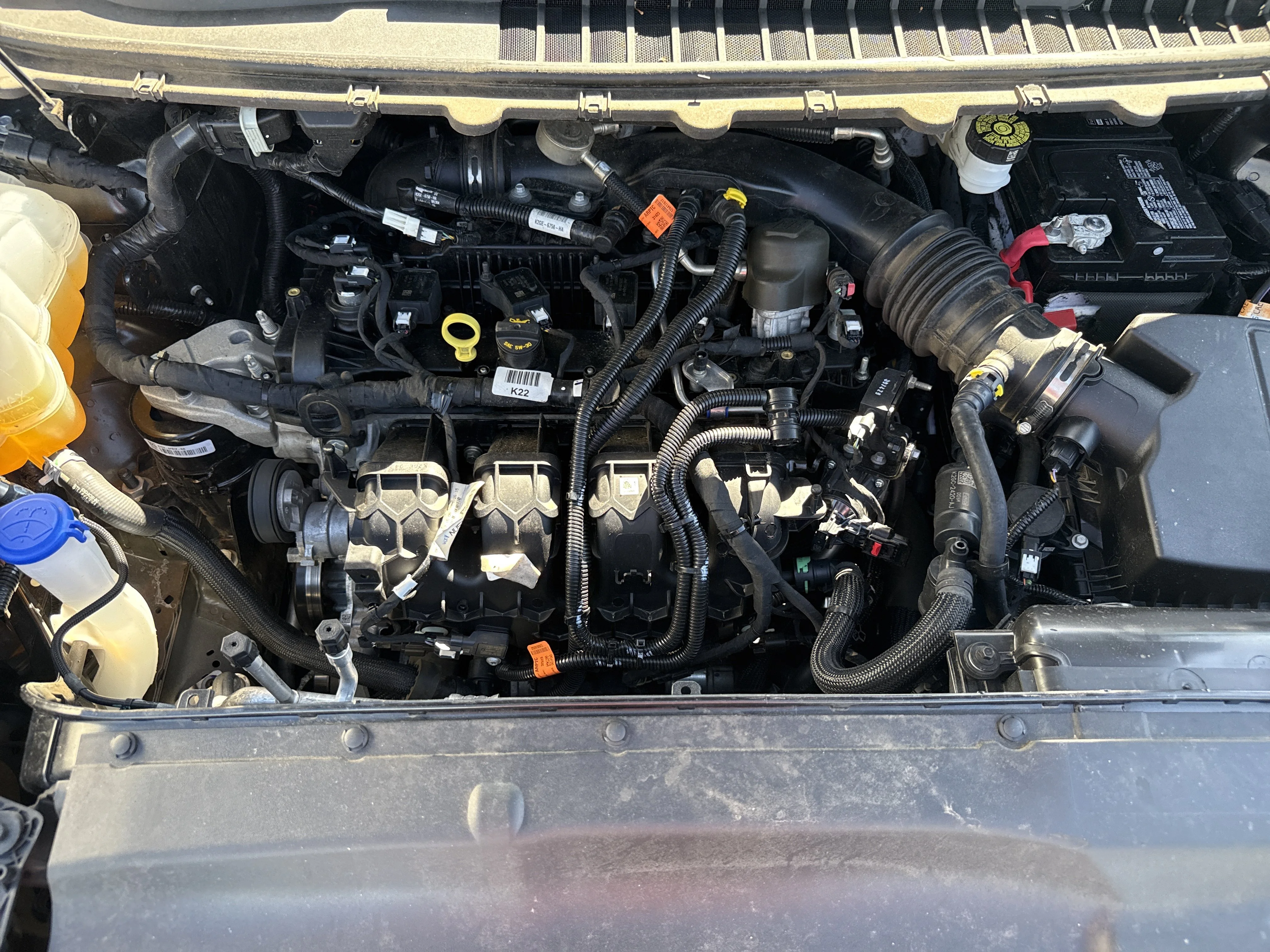 Photo 19