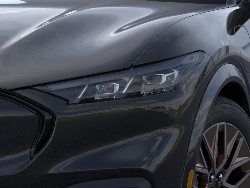 New 2026 Shadow Black Ford Premium image 18