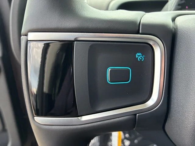 New 2026 Black Ford Platinum image 39