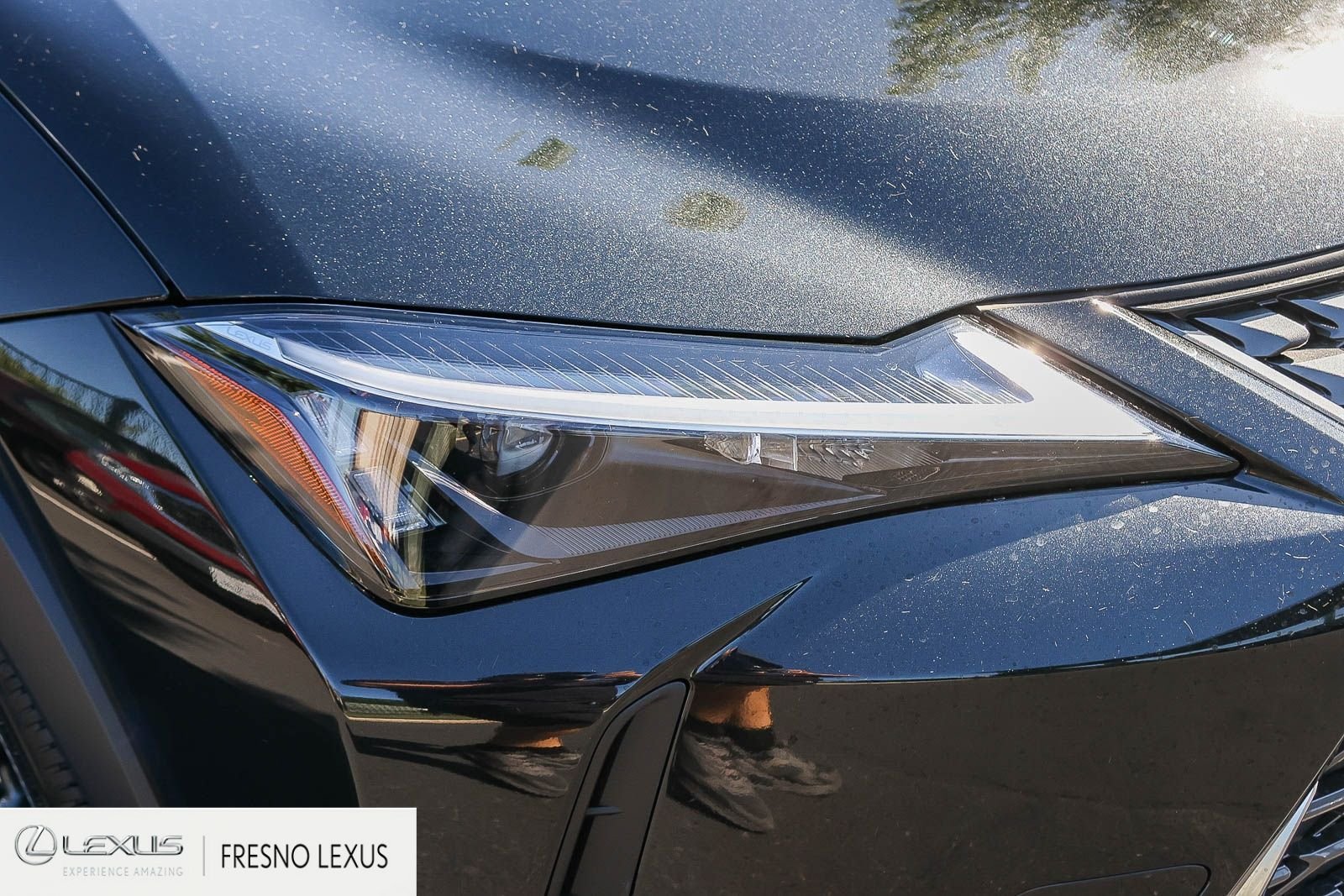 Certified Used 2025 Black Lexus 300h image 10