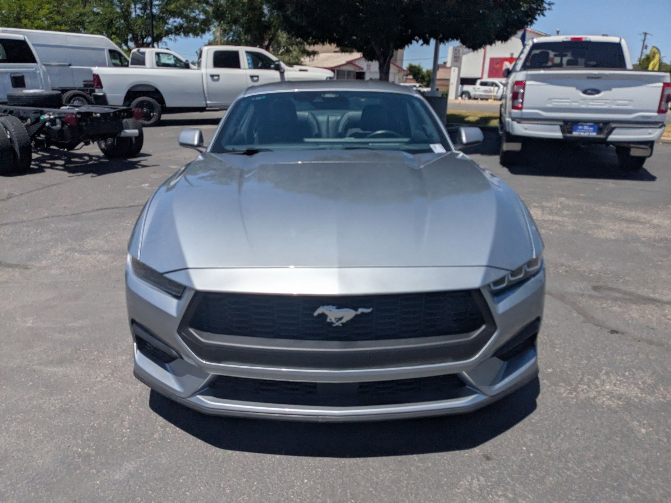 Used 2025 Silver Ford EcoBoost Premium image 9