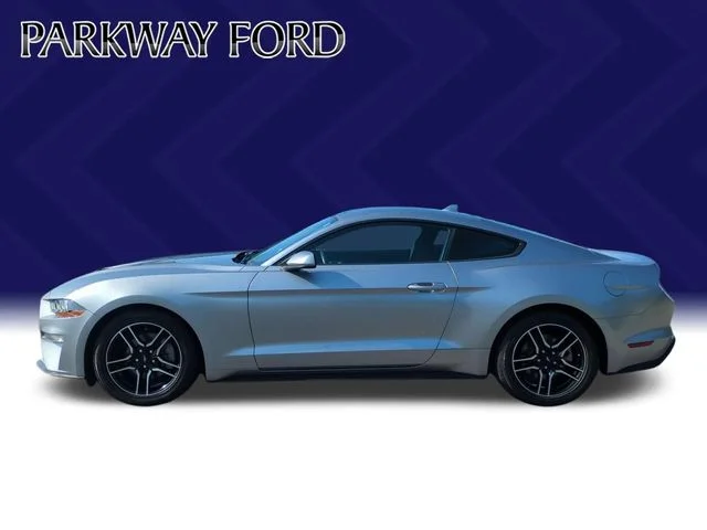Used 2022 Silver Ford EcoBoost image 2