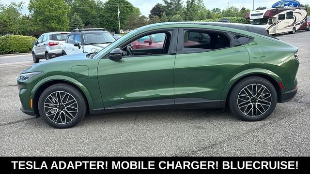New 2026 Eruption Green Metallic Ford Premium image 4