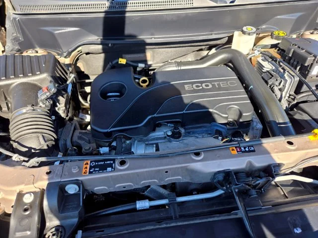 Used 2019 Beige Chevrolet LS image 21
