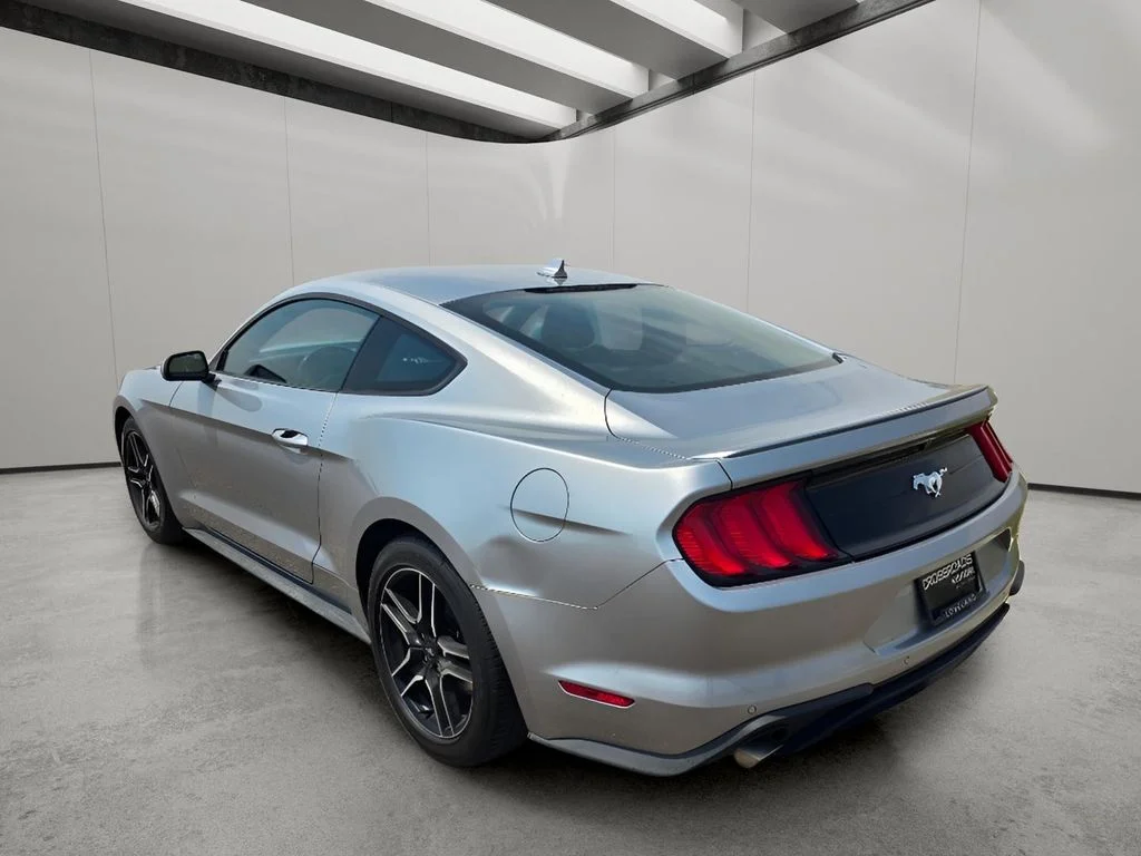 Used 2023 Iconic Silver Metallic Ford EcoBoost Premium image 3