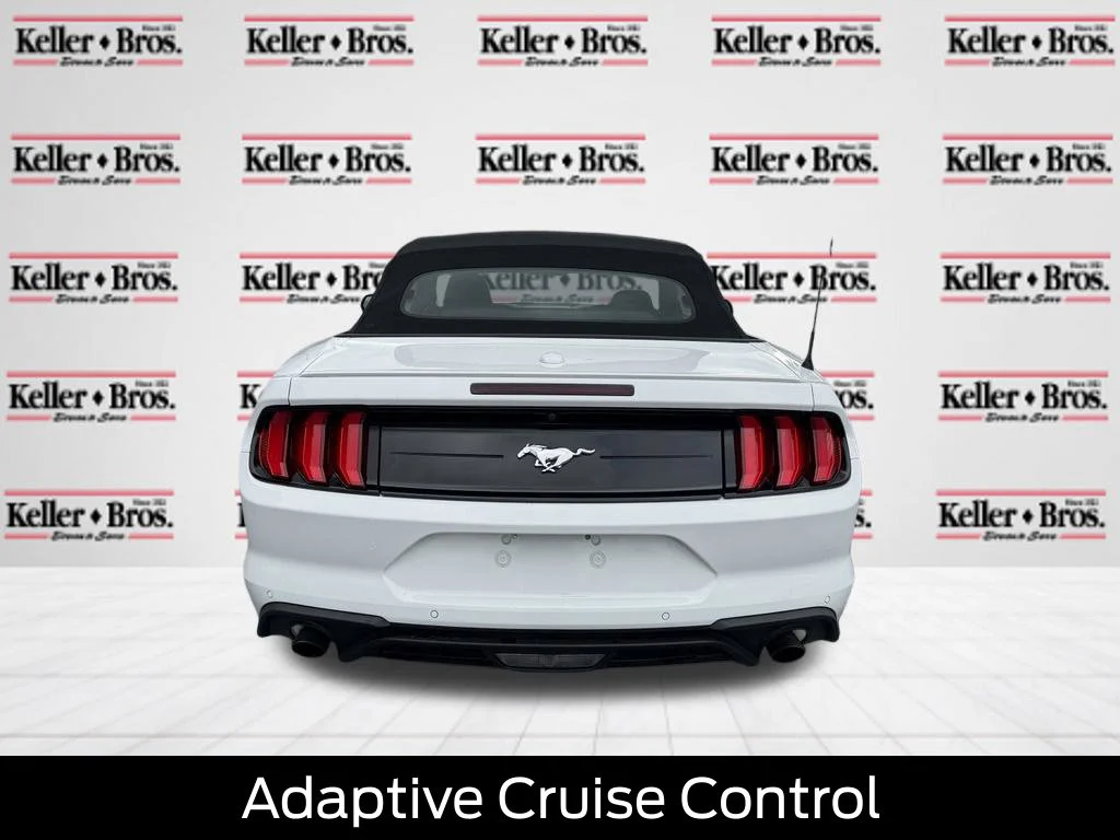 Used 2019 Oxford White Ford EcoBoost Premium image 6