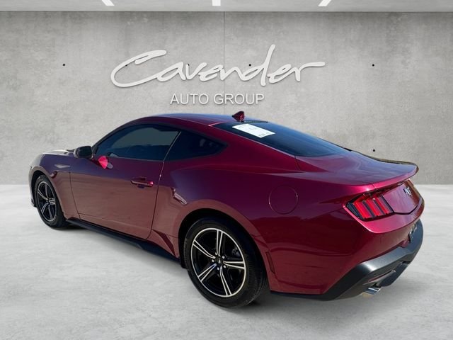 Used 2025 Red Ford EcoBoost image 14