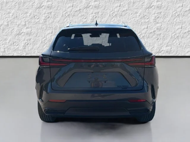 New 2026 Cloudburst Gray Lexus PREMIUM image 4