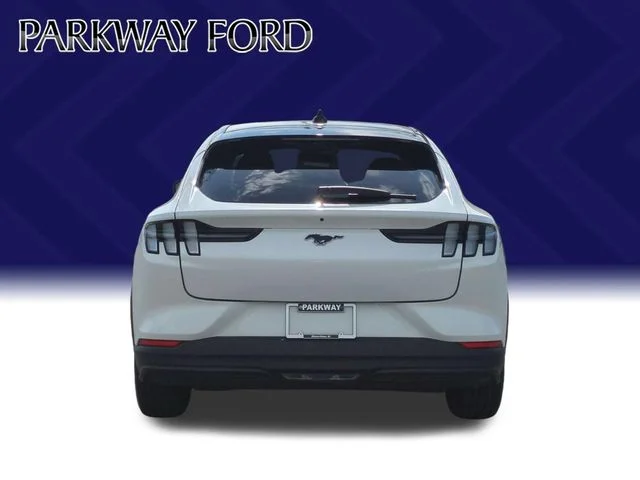 Used 2024 White Ford Select image 4