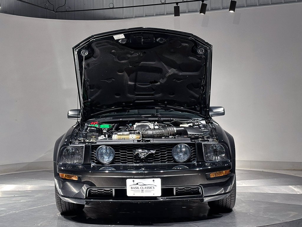 Used 2005 Black Ford  image 27