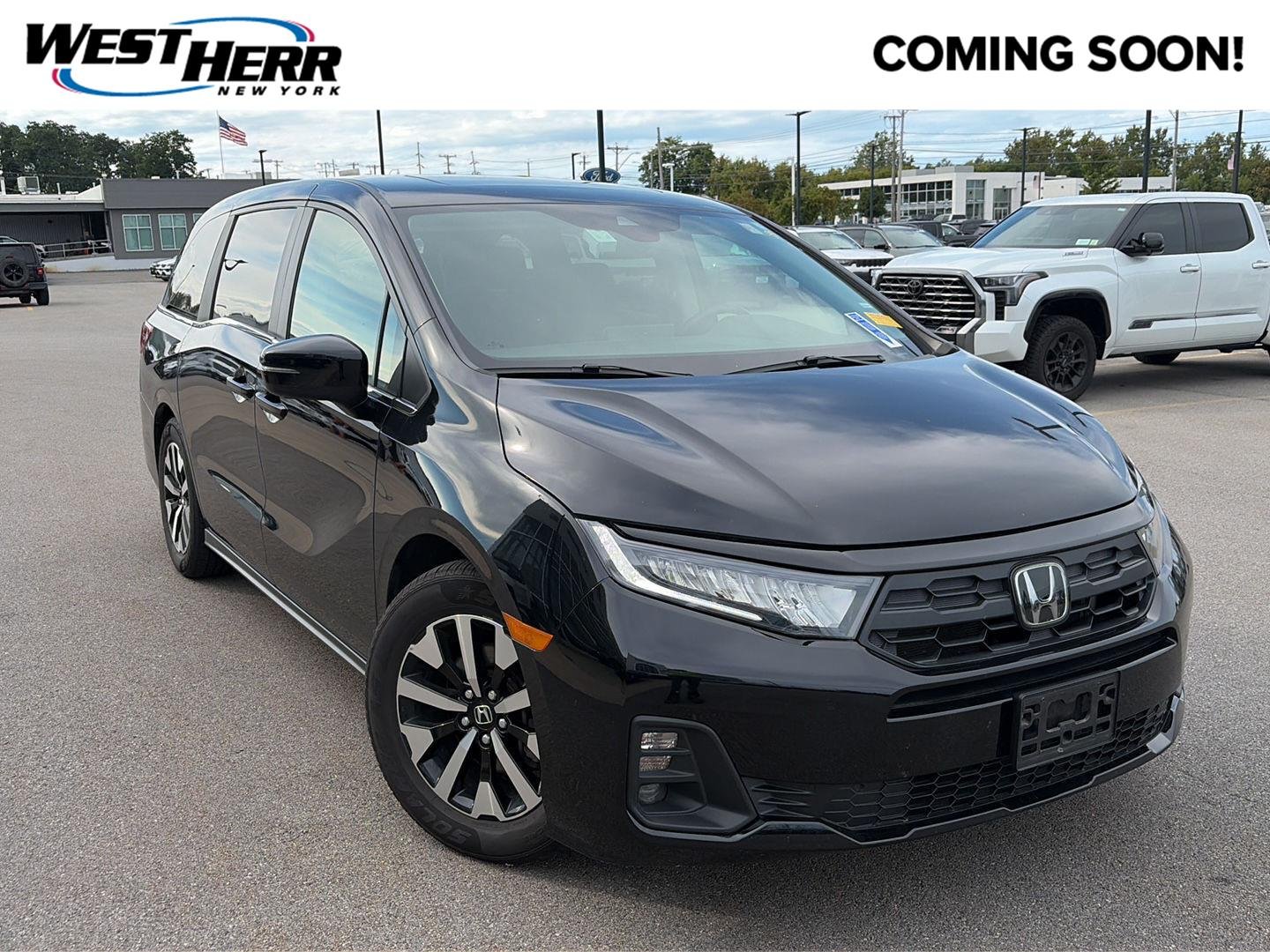Used 2025  Honda EX-L image 1