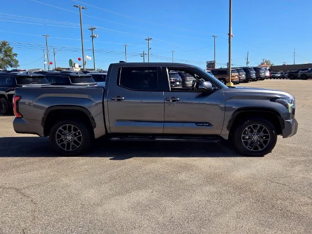 Used 2022 Gray Toyota Platinum image 14