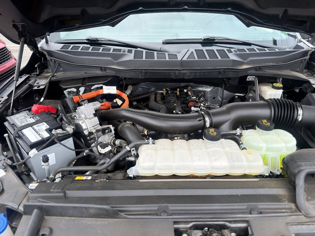 2024 Ford F-150 XLT - Photo 31