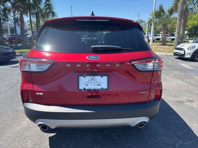 Certified Used 2020 Red Metallic Ford SE Sport image 6