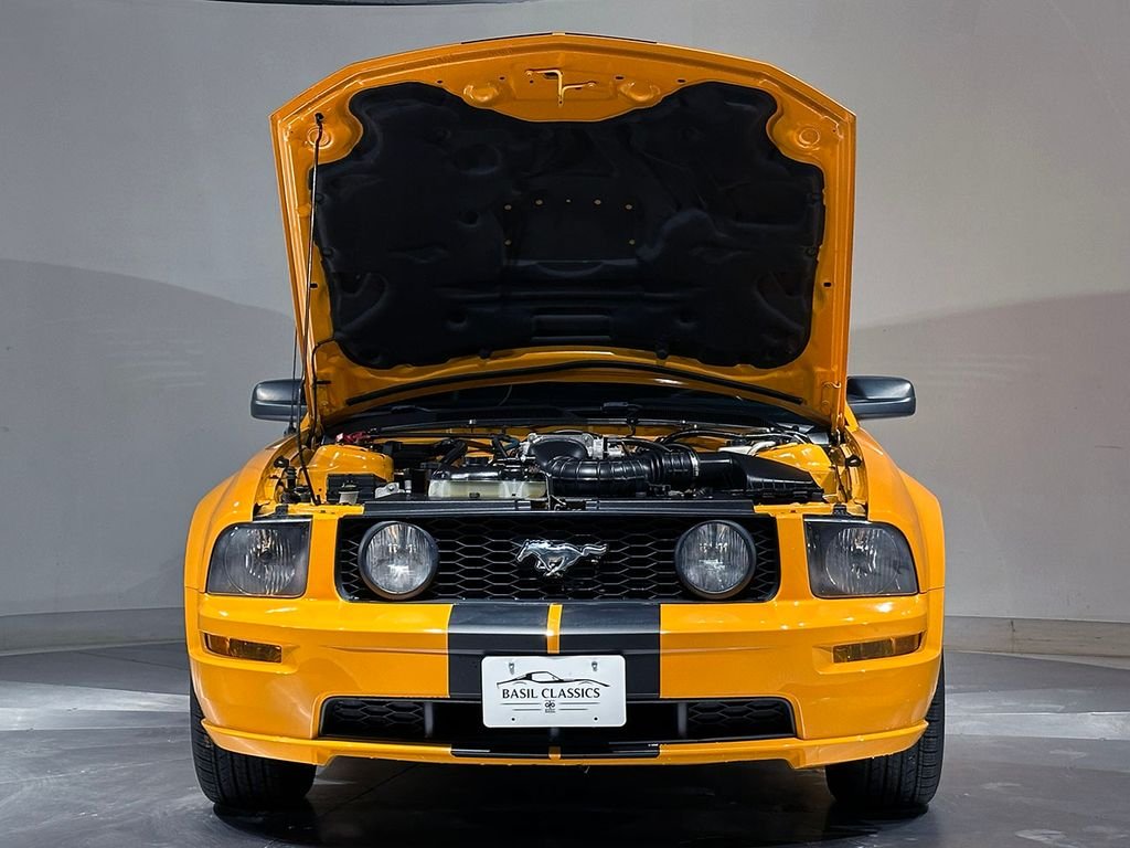 Used 2007 Orange Ford  image 29