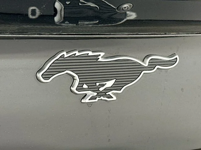 New 2026 Black Ford Premium image 26