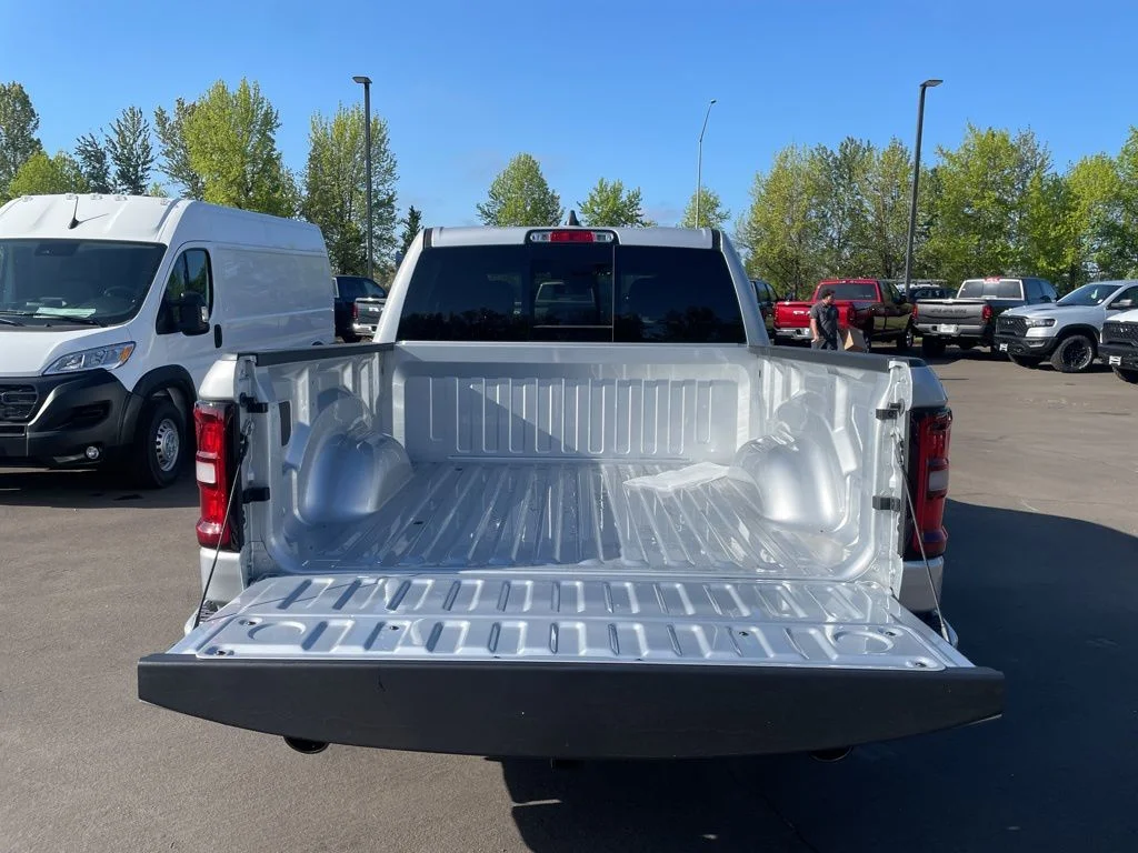 New 2026 Silver Zynith Exterior Paint RAM Big Horn/Lone Star image 4