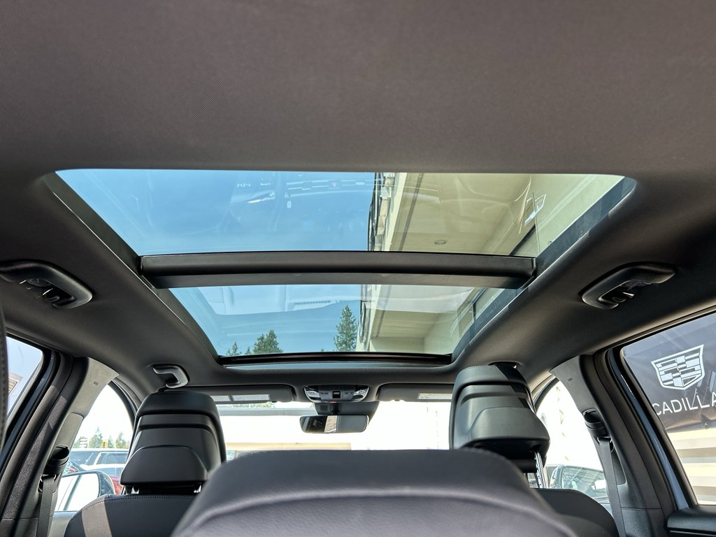 New 2027 Heritage Blue Kia X-Line image 15