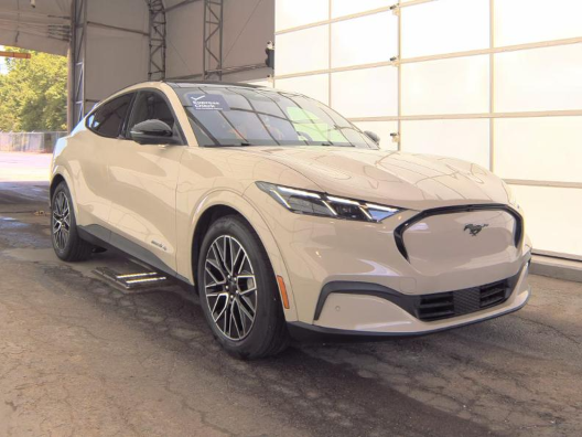 Certified Used 2025 Desert Sand Ford Premium image 4