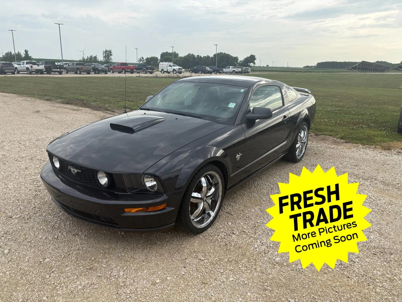 2009 Ford Mustang GT Premium's photo