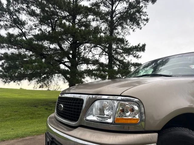 Used 2002 Beige Ford XLT image 2