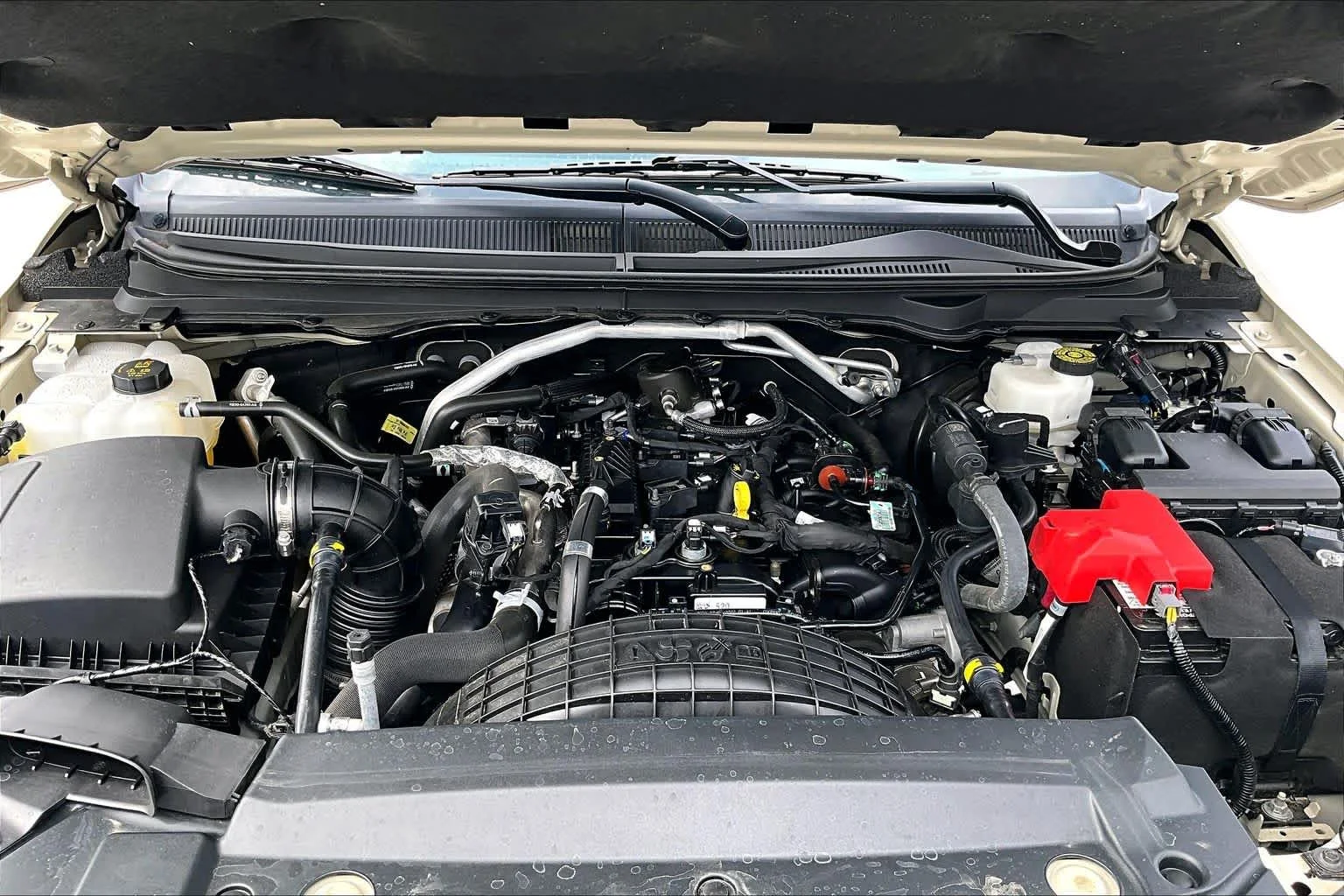 Used 2022 Desert Sand Ford XLT image 29