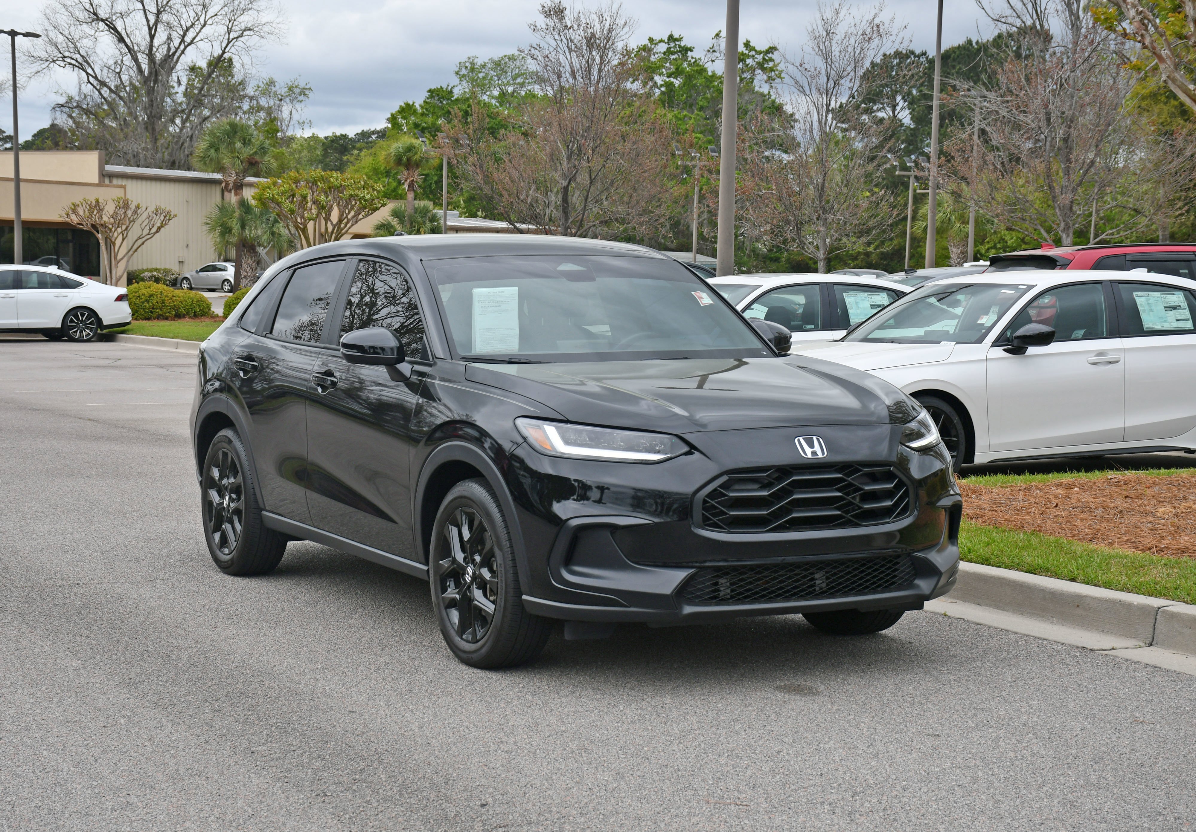 Used 2024 Black Honda Sport image 6