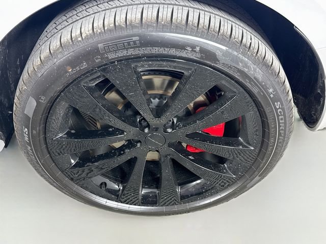 New 2026 Borasco Grey Land Rover Dynamic SE image 33