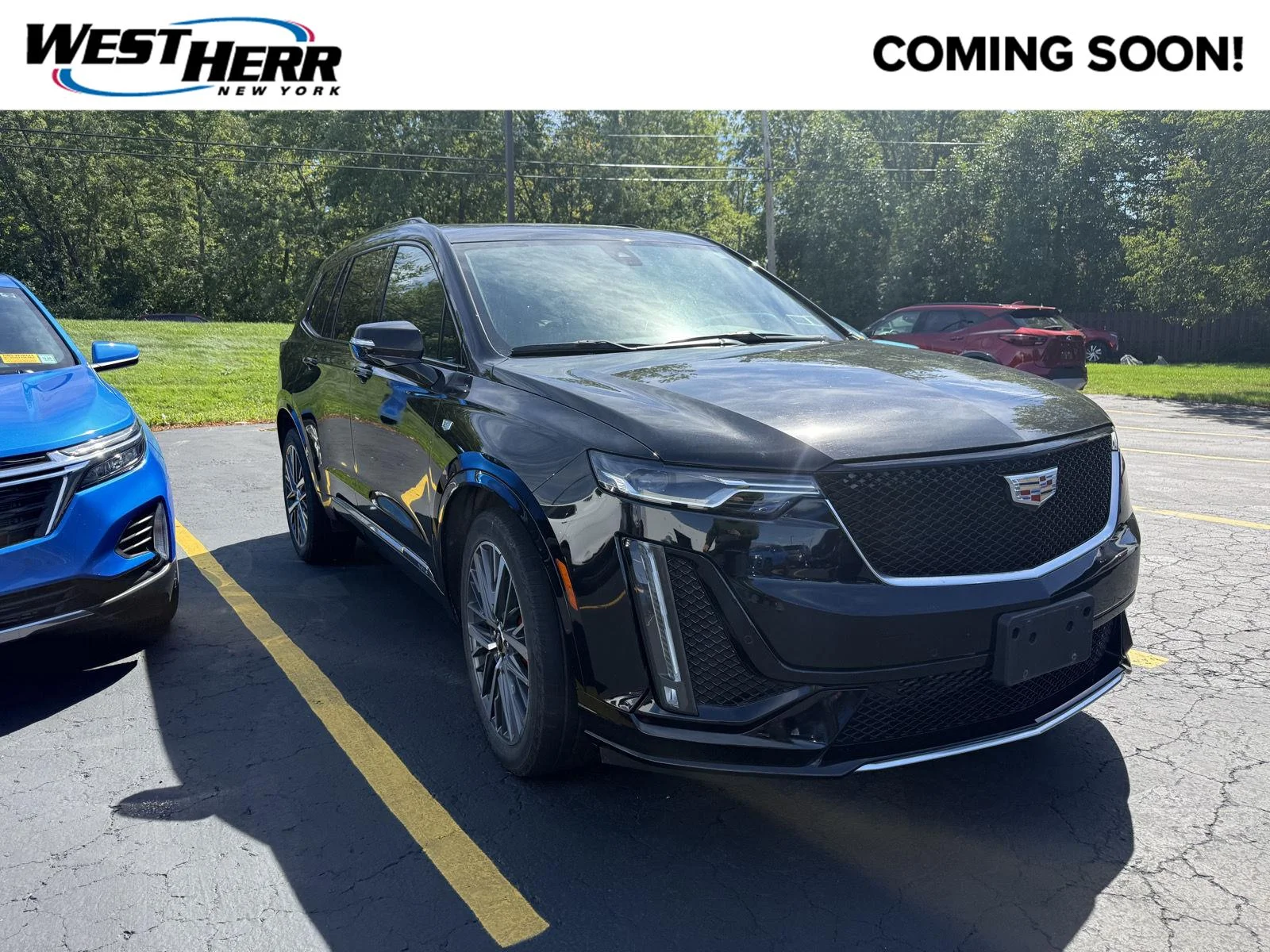 Used 2025 Stellar Black Metallic Cadillac Sport image 1