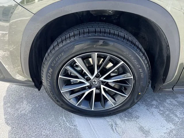 Used 2024 Green Lexus 250 Premium image 10